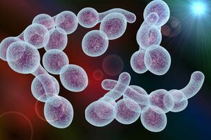 agent cauzator al prostatitei bacteriene la bărbați