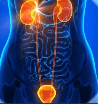 Prostatita