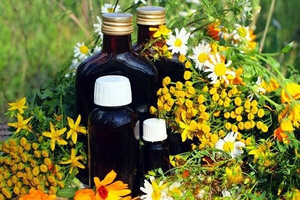 tincturi de plante pentru prostatită